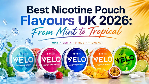 Best Nicotine Pouch Flavours UK 2026: From Mint to Tropical