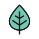Mint/Menthol