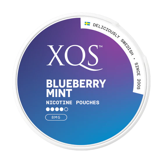 XQS Blueberry Mint 8mg Nicotine Pouches